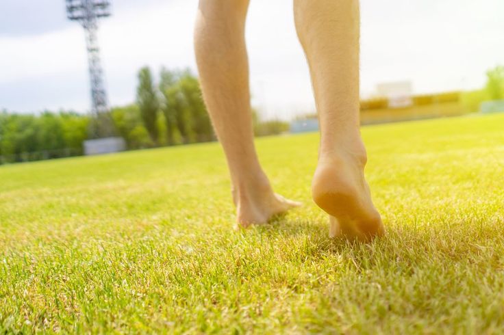 Barefoot Shoe Myths Debunked: The Truth That Can Transform Your Walk