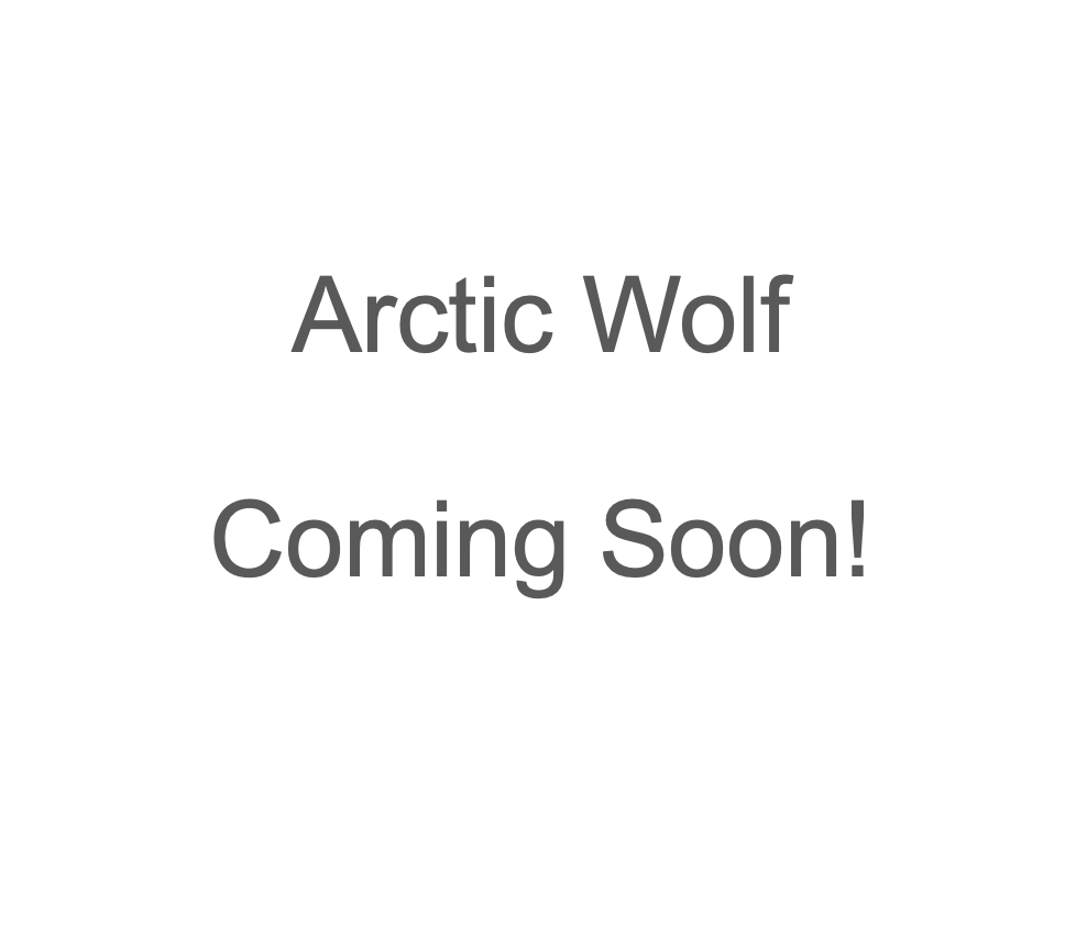 Vivobarefoot - Motus Strength II